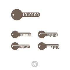 Set of keys with binary code. Electronic digital security system icon. The key to the program code. Innovative concept of the modern key. Simple flat icon symbol