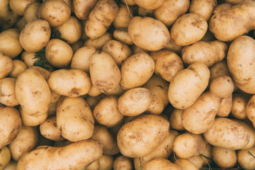 Organic Brown Potatoes On Agricultural Market. Background