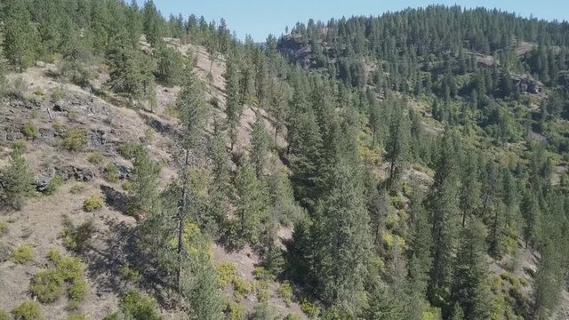 Foothills with Drone Rising Up with Sporadic Trees