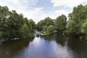 Fototapeta premium water running slow and quiet down a river among the trees in spring 
