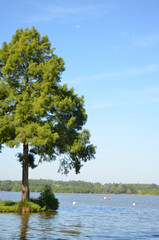 &eacute;tang de Soustons