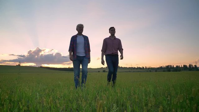 Old dad walking with his adult handsome son and talking, smiling, wheat or rye field with sunset in background