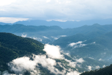Landscape image of greenery rainforest hills in foggy day with blue sky background