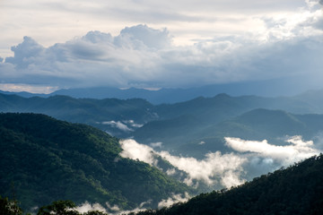 Obraz premium Landscape image of greenery rainforest hills in foggy day with blue sky background