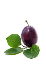 Ripe plum with water drops and green leaf  isolated on white background..