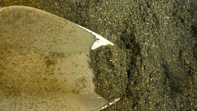 A man mixes middle eastern Mediterranean Zaatar spice and herb blend