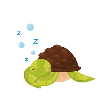 Flat vector icon of cute sleeping turtle. Marine animal. Green tortoise with brown shell. Element for children book or sticker