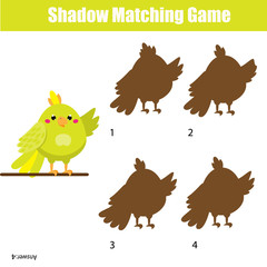 Shadow matching game. Kids activity with cartoon parrot