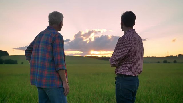 Back view of old father standing with adult son and watching sunset above wheat or rye field, beautiful nature