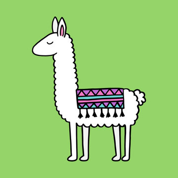 Hand drawn white llama with patterned fringed blanket. Cute furry llama animal vector illustration on green background.