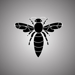  insect, bee icon
