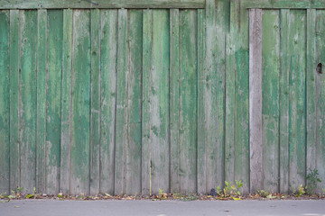 The texture of weathered wooden wall of green color. Aged wooden plank fence of vertical flat boards