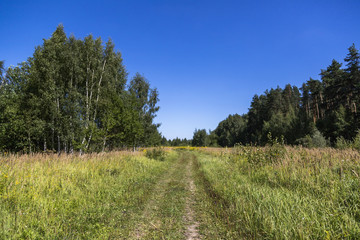 road in field