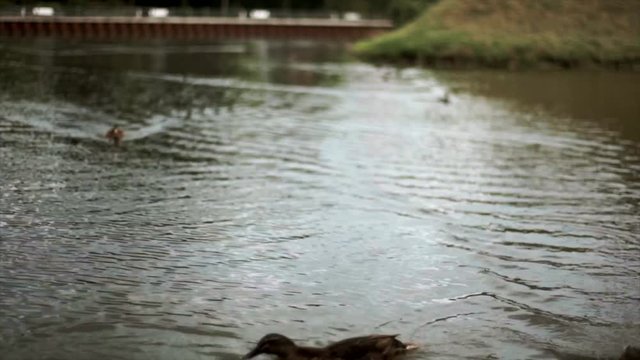 river in the rain