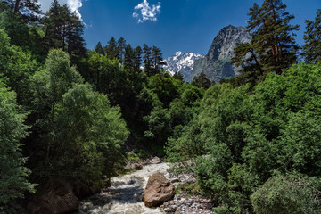 Tsej gorge, mountains of the Caucasus.
