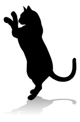 Silhouette Cat Pet Animal 