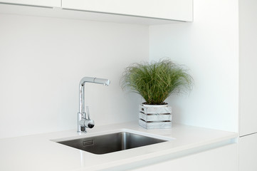 Modern kitchen sink and faucet with decorative flowers.