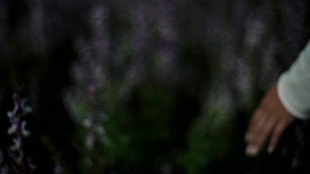 runs his hand on the grass
