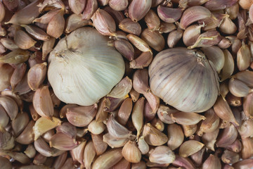 garlic background , close up texture condiment