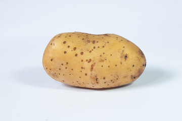 potato ripe fresh vegetable on white background