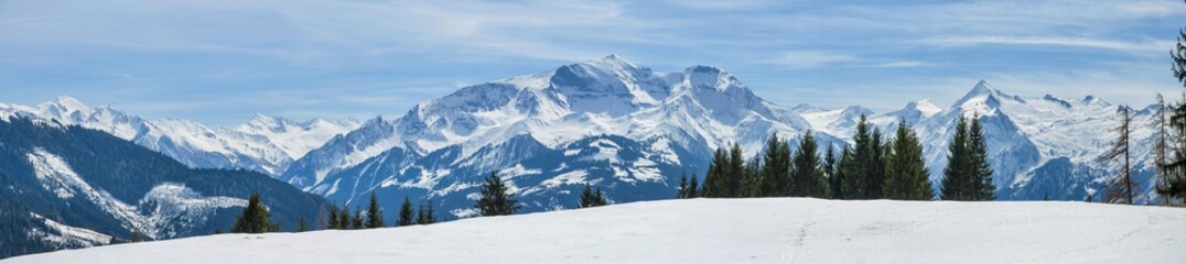 Fototapeta na wymiar Winter Panorama of Alps with Zell am See