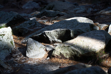 Rocks