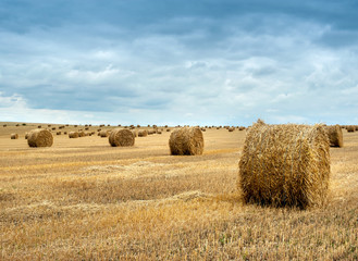 straw bales of hay in the stubble field, agricultural field under a sky with clouds