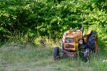Fototapeta premium alter Traktor