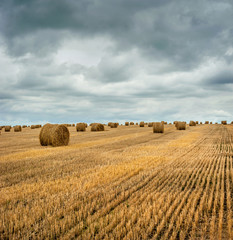 Farmers field full of hay bales with cloudly sky