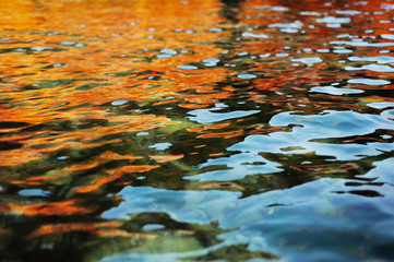 autumn water background with orange and red leaves reflection. waves at sea surface