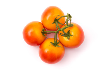 Rot-orange Tomaten