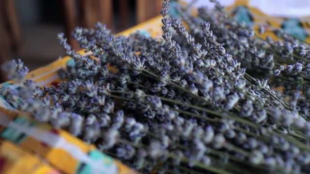 a slow motion of hyacinth flowers inside a basket