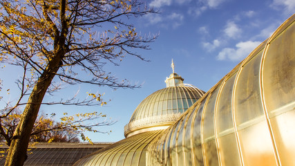 : Bright autumn day at the botanic gardens in the West End of Glasgow.