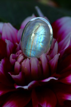 Ring Silber Mondstein