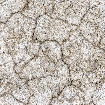 Dry cracks on a salt marsh in Lower Saxony, Germany, with white salt precipitates of sodium chloride and calcium chloride