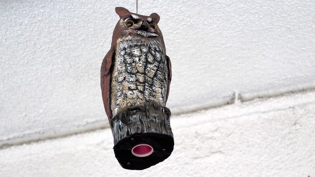 Artificial owl status used to discourage pests and birds from nesting