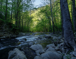 Flowing to the Light