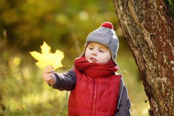 Little boy during stroll in the forest at sunny autumn day