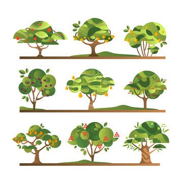 Different fruit trees set, apple, orange, lemon, pear, rowan, apricot, plum, cherry tree with ripe fruits vector Illustrations on a white background