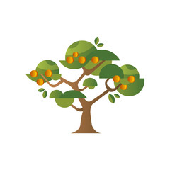 Green tree with apricots, garden plant with ripe fruits vector Illustration on a white background