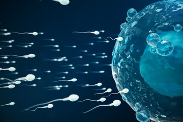 Sperm and egg cell, ovum. Native and natural fertilization - close-up view. Conception the beginning of a new life. Medical concept 3D illustration