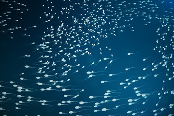 Sperm approaching egg cell, ovum. natural fertilization - close-up view. Conception, the beginning of a new life. 3D illustration