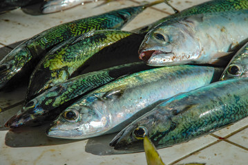 Fresh fish caught in Rio de Janeiro, fishmongers in Copacabana