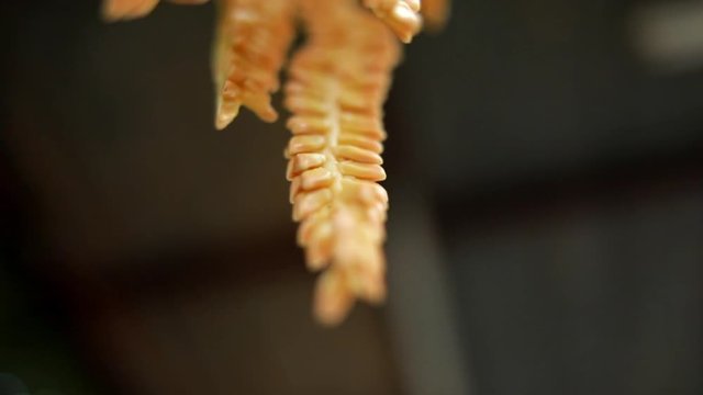 this is a coconut flower which is used as a decorative in wedding & also have somee medicinal value.