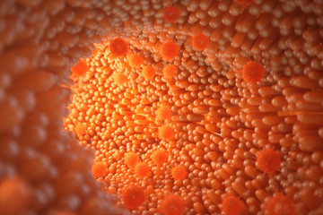 3d illustration Intestinal villi. Intestine lining. Microscopic villi and capillary. Human intestine. Viral infection causing chronic disease. Hepatitis viruses, influenza virus, cell infect organism.