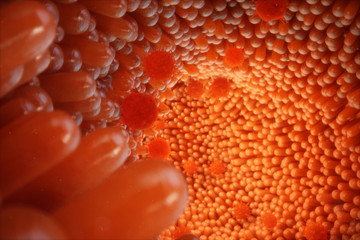 3D illustration Intestinal villi. Intestine lining. Microscopic capillary. Human intestine. Concept of a healthy or diseased intestinal. Viruses, bacteria, cell infected organism, decreased immunity.