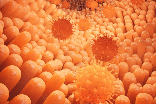 3D illustration Intestinal villi. Intestine lining. Microscopic capillary. Human intestine. Concept of a healthy or diseased intestinal. Viruses, bacteria, cell infected organism, decreased immunity.