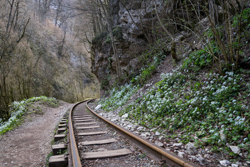Beautiful mountain scenery . Guam gorge. Krasnodar region