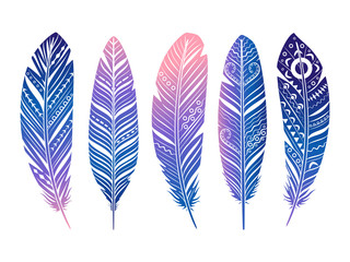 Color feathers vector set. Hand sketched tribal feathers isolated on white © ssstocker