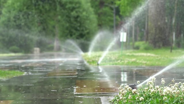 Garden Irrigation. Automatic sprinkler watering system for plants and lawn.